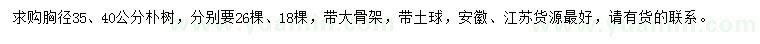 求购胸径35、40公分朴树