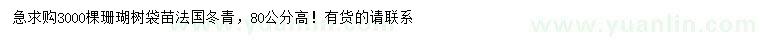 求购法国冬青苗、珊瑚树苗