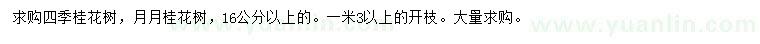 求购16公分以上四季桂、月月桂