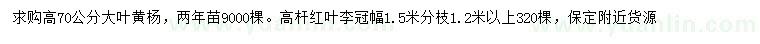 求购高70公分大叶黄杨、冠幅1.5米高杆红叶李