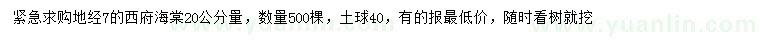 求购20公分量地径7公分西府海棠