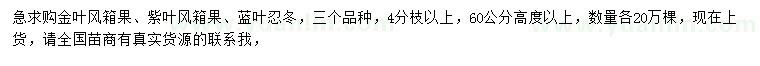 求购金叶风箱果、紫叶风箱果、蓝叶忍冬