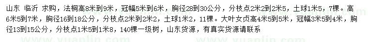 求购胸径16-18、28-30公分法桐、13-15公分大叶女贞