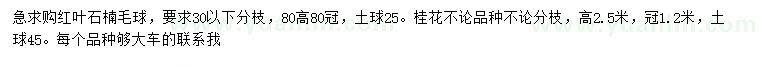 求购高80公分红叶石楠毛球、2.5米桂花