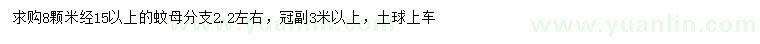 求购米径15公分以上蚊母