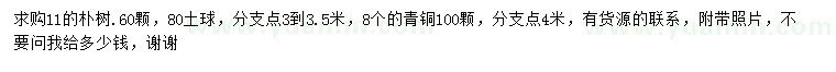 求购11公分朴树、青桐