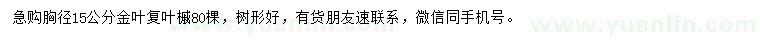 求购胸径15公分金叶复叶槭