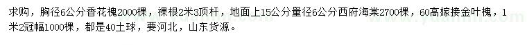 求购香花槐、西府海棠、金叶槐