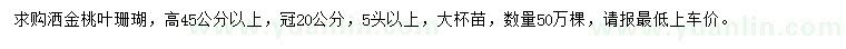 求购高45公分洒金桃叶珊瑚