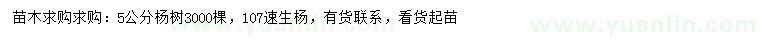 求购5公分杨树、107速生杨