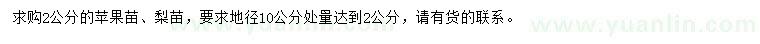 求购2公分苹果苗、梨苗