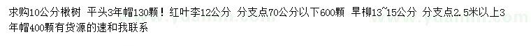 求购楸树、红叶李、旱柳