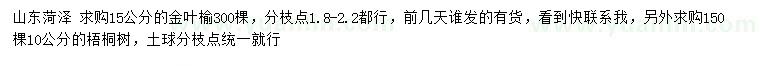 求购15公分金叶榆、10公分梧桐