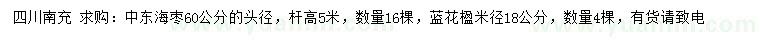 求购头径60公分中东海、米径18公分蓝花楹