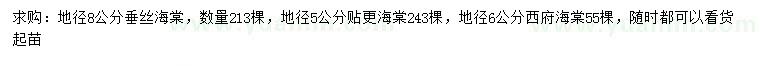 求购垂丝海棠、贴更海棠、西府海棠