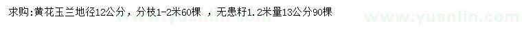 求购1.2米量地径12公分黄花玉兰、13公分无患子