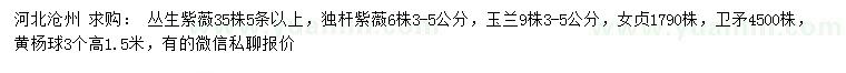 求购丛生紫薇、独杆紫薇、玉兰等