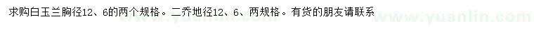 求购胸径12公分白玉兰、地径6、12公分二乔玉兰