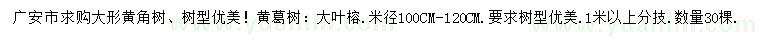 求购黄角树、黄葛树、大叶榕