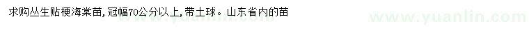 求购冠幅70公分以上贴梗海棠