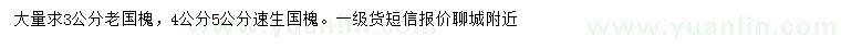 求购3公分老国槐、4、5公分速生国槐