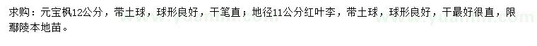 求购12公分元宝枫、地径11公分红叶李