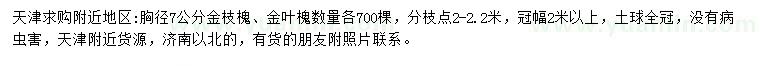 求购胸径7公分金枝槐、金叶槐