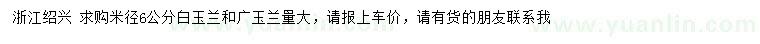 求购米径6公分白玉兰、广玉兰