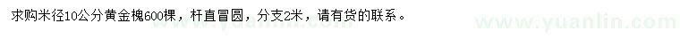 求购米径10公分黄金槐