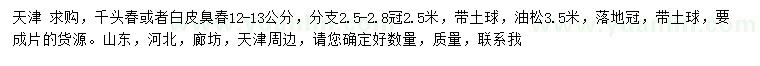 求购12-13公分千头椿、白皮臭椿