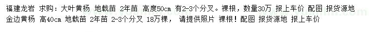 求购高50公分大叶黄杨、40公分金边黄杨