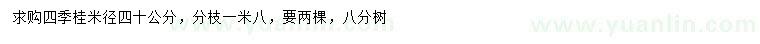 求购米径40公分四季桂