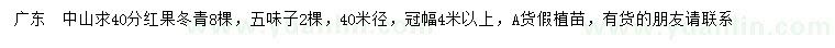 求购40公分红果冬青、五味子