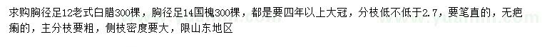 求购胸径12公分白蜡、14公分老国槐