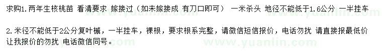 求购地径1.6公分核桃苗、米径2公分复叶槭