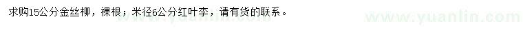 求购15公分金丝柳、米径6公分红叶李