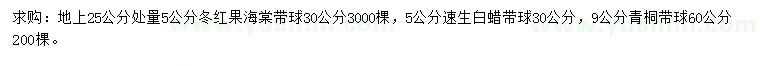 求购冬红果海棠、速生白蜡、青桐