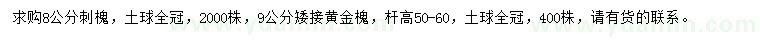 求购8公分刺槐、9公分矮接黄金槐