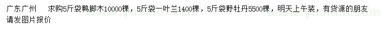 求购鸭脚木、一叶兰、野牡丹