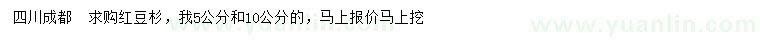 求购5、10公分红豆杉