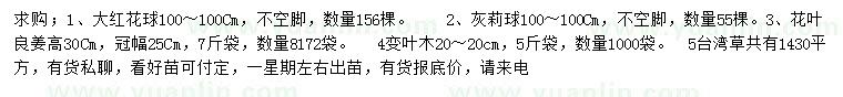 求购大红花球、灰莉球、花叶良姜等