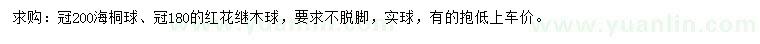 求购冠幅200公分海桐球、180公分红花继木球