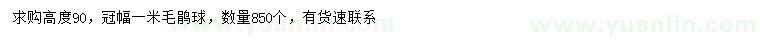 求购高90公分毛鹃球