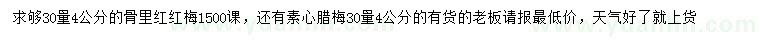 求购30量4公分骨里红梅、素心腊梅