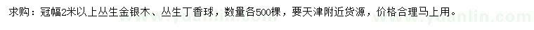 求购冠幅2米以上丛生金银木、丛生丁香球