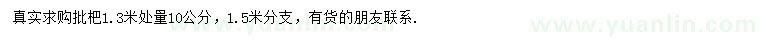 求购1.3米处量10公分批杷