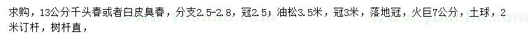 求购千头椿、白皮臭椿、火枸