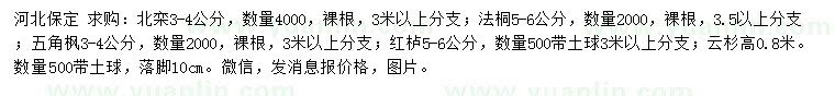 求购北栾、法桐、五角枫等