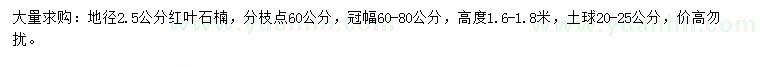 求购地径2.5公分红叶石楠