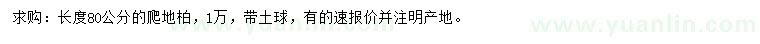 求购长80公分爬地柏